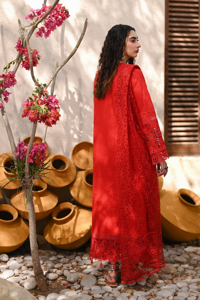 Red Chikankari Suit